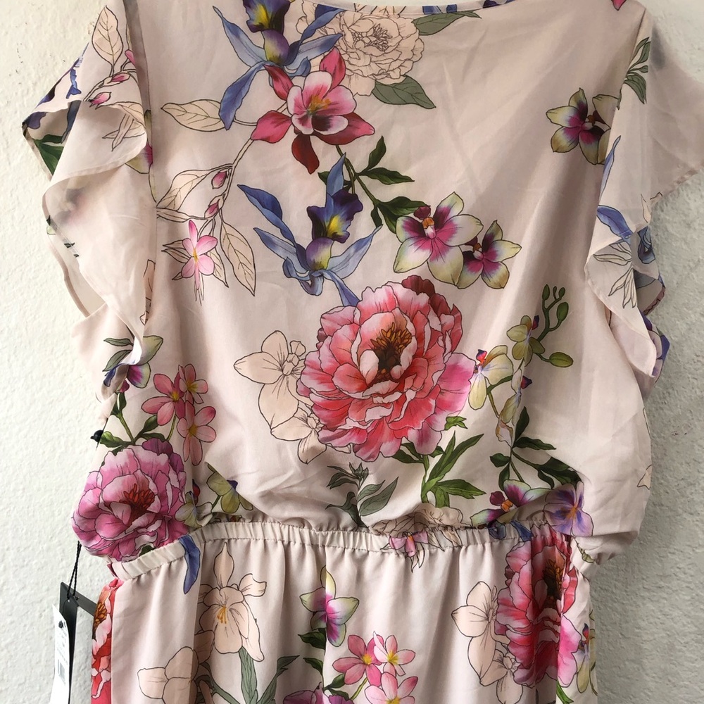 NWT 14 Adrianna Papell Blush Floral Border Maxi Dress Ruffle Sleeve Lined - Picture 14 of 15